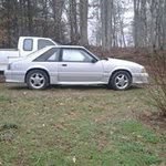 @wallacebarnettebarnette - Instagram