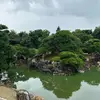 wallace.barrett1 - @wallace.barrett1 - TikTok