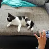 Pavlína Halušková - @beckywallace892 - TikTok