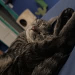 Wallace Becker - @wallacebecker2 - Instagram