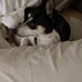 Bell Wallace - Facebook