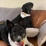 Charlie Fry & Wallace Bender - @charlie.fry_wallace.bender - Instagram