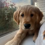 Wallace Bennett - @wallace.bennett43 - Instagram