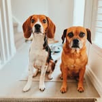 Benson, Wallace & Associates - @bensonwallaceandassociates - Instagram