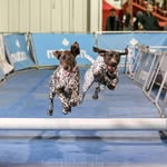 Wallace & Benson - @_wallace_benson_ - Instagram