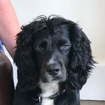 wallace bird - @wallace.bird - Instagram
