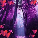 Trudy Bowers Wallace - @trudybowerswallace - Instagram