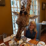 Kelly Browder Wallace - @kellybrowderwallace - Instagram