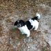 Wallace Cook - Facebook