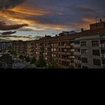 @wallacecook - Instagram