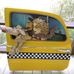 Leslie Wallace Coon - Facebook