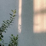 Wallace Cox - @wallacecox733 - Instagram