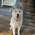 Wallace Cox - @im.apollo13 - Instagram