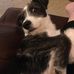 Wallace Cronin - Facebook