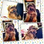 Wallace Gates - @fulnycle - Instagram