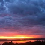 Wallace Gentry - @wallacegentry - Instagram