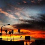 Wallace_Hansen - @wallace_hansenh - Instagram