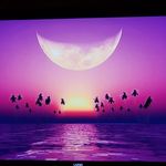 Wallace Henderson - @wallace.henderson.921 - Instagram