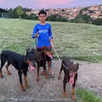 Wallace Heron - Facebook