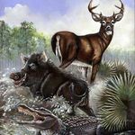 Wallace Hurst - @hurstwallace - Instagram