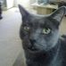 Wallace Hurst - Facebook