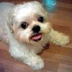 Wallace Kong - @wallace.kong.35 - Instagram