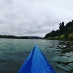 Little Wallace - @littlewallace9 - Instagram