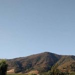 @wallace_lowef - Instagram