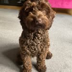 Elspeth Wallace McLean - @elspethwallacemclean - Instagram
