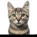 Wallace McLean - Facebook
