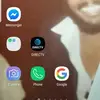 gator - @wallacemiller48 - TikTok