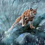 Wallace Miller - @wallace.miller.92775 - Instagram