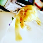 Wallace Miller - @wallacexdjajaa - Instagram