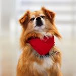 Wallace Miller - @wallace_dogg - Instagram