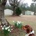 James Wallace - Facebook