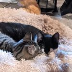 Scott Wallace - @scott.wallace.336 - Instagram
