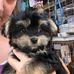 Wallace Pedersen - Facebook