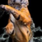 Quinn Wallace - @quinnwallace45 - Instagram
