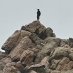 Reed Wallace - @reed_wallace06 - Instagram