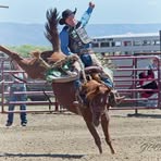 Ryder Wallace - Facebook