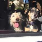 Wallace Robertson - @wallace.robertson.5 - Instagram
