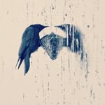 Wallace Koopmans - @wallaceross - Instagram