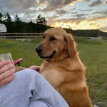 Wallace Ross - @wallaceross800 - Instagram