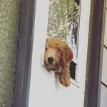 Wallace (Wally) Sanchez - @thereal.wallace - Instagram