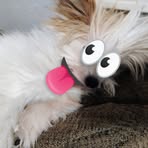 Wallace Silverton - Facebook