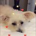 Sinclair Wallace - Facebook