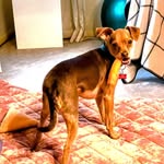 Nancy Snyder Wallace - @nancysnyderwallace - Instagram