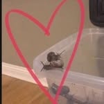 🐌💚🐌💚🐌💚🐌 - @wallace.street.sninsta - Instagram