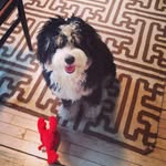 WALLACE - @wallacestreet - Instagram