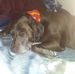 Wallace Swartz - Facebook